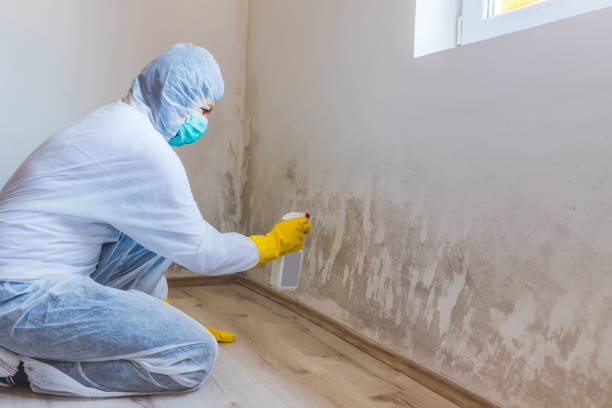 Hvac And Air Duct Mold Remediation inspection of HVAC system in Holly Springs