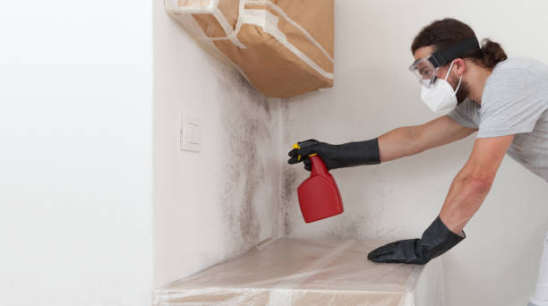 Attic Mold Remediation treatment on roof deck in Holly Springs
