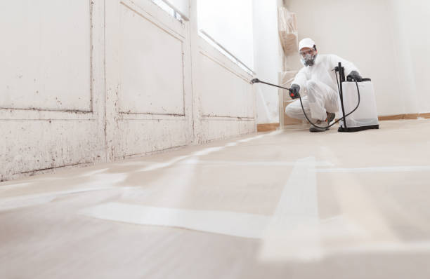 Post-remediation clearance in Holly Springs